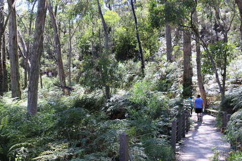 Self-Guided Waterfall Gully To Mount Lofty Hike From Adelaide - New South Wales Tourism  0