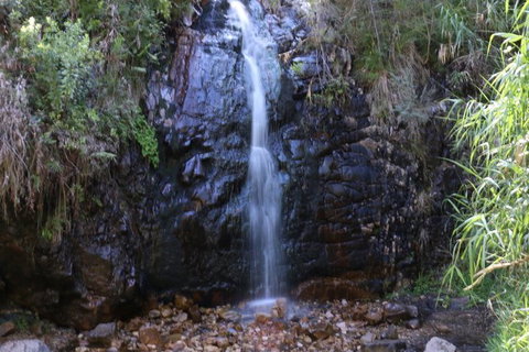 Self-Guided Waterfall Gully To Mount Lofty Hike From Adelaide - New South Wales Tourism  2