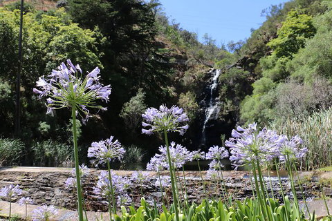 Self-Guided Waterfall Gully To Mount Lofty Hike From Adelaide - New South Wales Tourism  6
