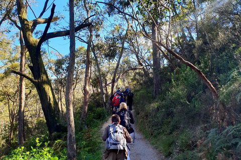 Self-Guided Waterfall Gully To Mount Lofty Hike From Adelaide - New South Wales Tourism  7