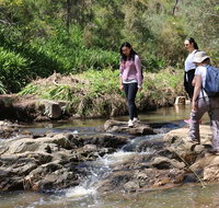 Small Group Bush Walk  BBQ with Wine Day Trip from Adelaide - New South Wales Tourism 