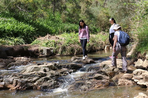 Small Group Bush Walk & BBQ With Wine Day Trip From Adelaide - New South Wales Tourism  0