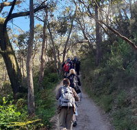 Mount Lofty Hike and Cleland Wildlife Park Day Trip from Adelaide - New South Wales Tourism 