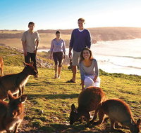 5-Day Adelaide and Kangaroo Island Tour Including Barossa Valley Wine Tasting - New South Wales Tourism 