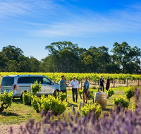 Micro-Group Barossa Valley Wine Tour from Adelaide - New South Wales Tourism 