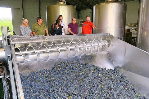 Micro-Group Barossa Valley Wine Tour From Adelaide - New South Wales Tourism  4