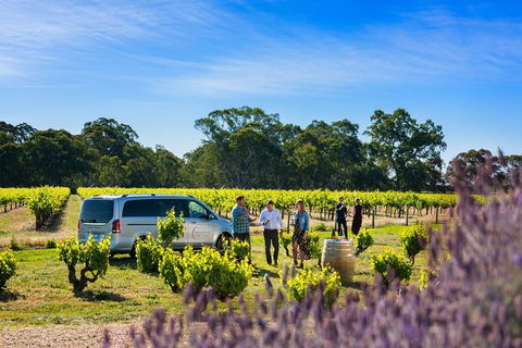 Micro-Group Barossa Valley Wine Tour From Adelaide - New South Wales Tourism  2