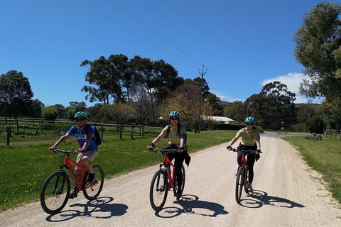 McLaren Vale Wine Tour By Bike - New South Wales Tourism  8