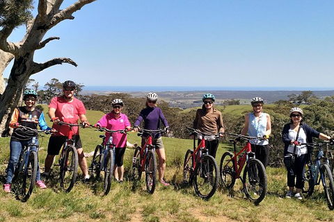 McLaren Vale Wine Tour By Bike - New South Wales Tourism  6