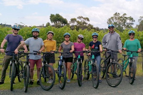 McLaren Vale Wine Tour By Bike - New South Wales Tourism  10