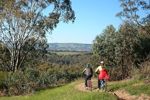 McLaren Vale Wine Tour By Bike - New South Wales Tourism  13