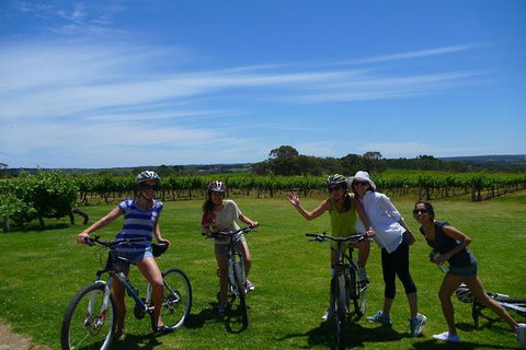 McLaren Vale Wine Tour By Bike - New South Wales Tourism  12