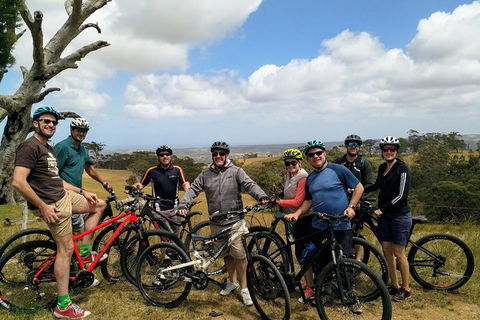 McLaren Vale Wine Tour By Bike - New South Wales Tourism  7