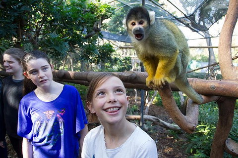 Adelaide Zoo Behind The Scenes Experience: Squirrel Monkey Feeding - New South Wales Tourism  1