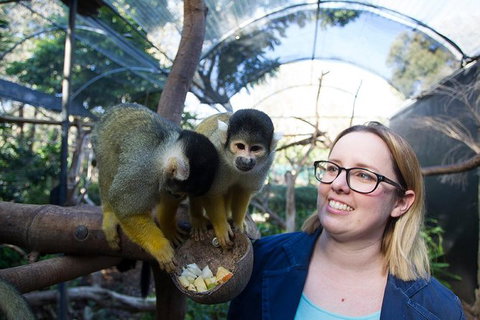 Adelaide Zoo Behind The Scenes Experience: Squirrel Monkey Feeding - New South Wales Tourism  0