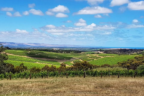 Micro-Group McLaren Vale Wine Tour From Adelaide - New South Wales Tourism  4