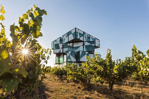 Micro-Group McLaren Vale Wine Tour From Adelaide - New South Wales Tourism  3