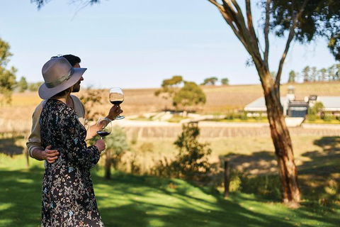 Micro-Group McLaren Vale Wine Tour From Adelaide - New South Wales Tourism  7