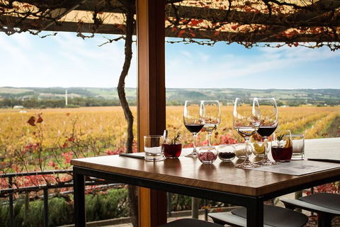 Micro-Group McLaren Vale Wine Tour From Adelaide - New South Wales Tourism  2