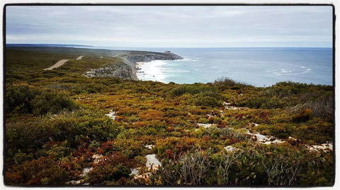 2-Day Kangaroo Island Adventure Tour From Adelaide - New South Wales Tourism  4