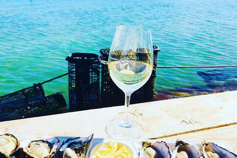Coffin Bay Oyster Farm & Tasting Tour - New South Wales Tourism  11