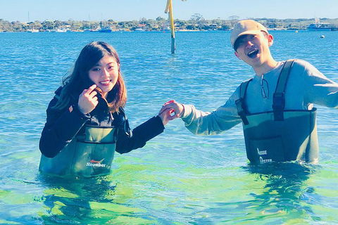 Coffin Bay Oyster Farm & Tasting Tour - New South Wales Tourism  4