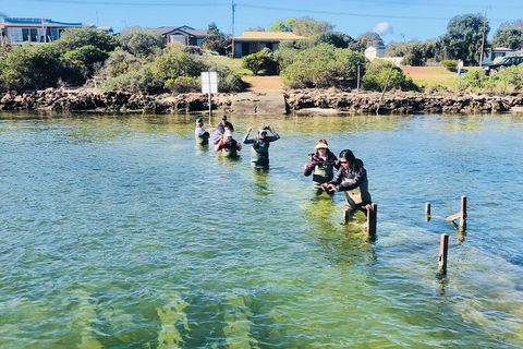 Coffin Bay Oyster Farm & Tasting Tour - New South Wales Tourism  6