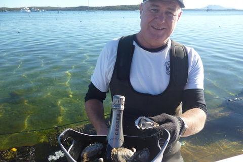 Coffin Bay Oyster Farm & Tasting Tour - New South Wales Tourism  2