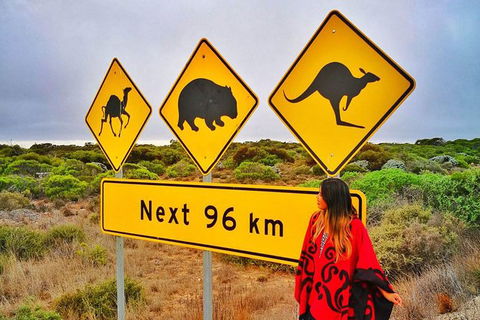 3 Day Whale Watching Tour From Adelaide - New South Wales Tourism  10