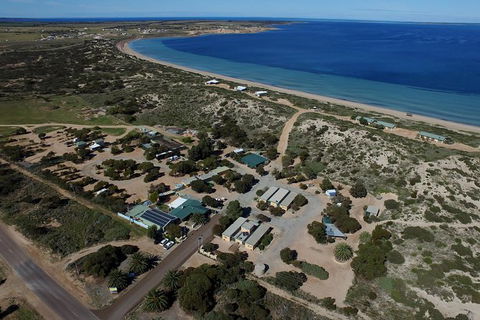 3 Day Whale Watching Tour From Adelaide - New South Wales Tourism  13