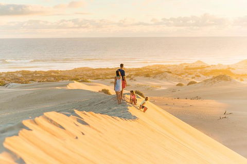 3 Day Whale Watching Tour From Adelaide - New South Wales Tourism  6
