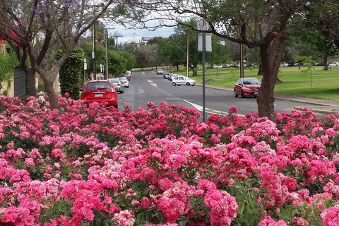 Adelaide Walking Tour: Hills, Squares And Parklands - New South Wales Tourism  6