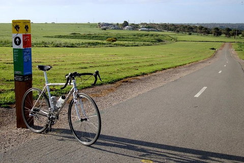 McLaren Vale Shiraz Trail Cycling Tour From Adelaide - New South Wales Tourism  1