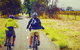 McLaren Vale Shiraz Trail Cycling Tour From Adelaide - thumb 6
