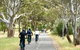 McLaren Vale Shiraz Trail Cycling Tour From Adelaide - thumb 4