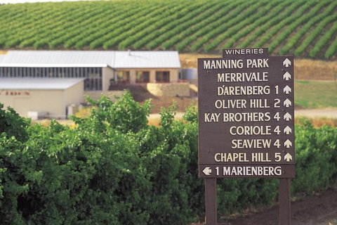 McLaren Vale Shiraz Trail Cycling Tour From Adelaide - New South Wales Tourism  8