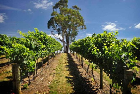 Small Group Adelaide Hills And Hahndorf Hideaway Tour From Adelaide - New South Wales Tourism  1