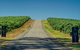 Small Group Adelaide Hills And Hahndorf Hideaway Tour From Adelaide - thumb 3