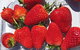 Small Group Adelaide Hills And Hahndorf Hideaway Tour From Adelaide - thumb 11