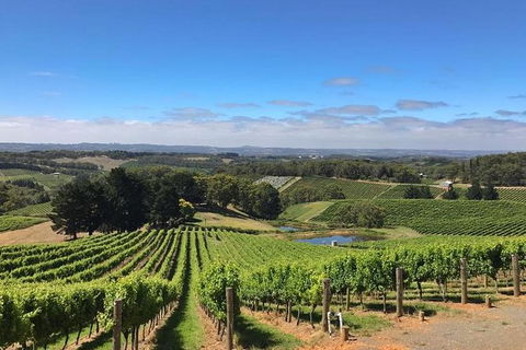 Small-Group Full-Day Adelaide Hills And Hahndorf Wine Tour From Adelaide - New South Wales Tourism  2