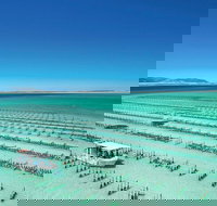 Coffin Bay Private Day Tour from Port Lincoln - A Taste of Coffin Bay - New South Wales Tourism 