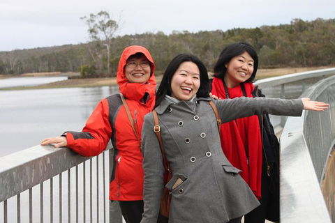 Private Barossa Valley Wine Region Tour From Adelaide - New South Wales Tourism  6