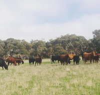 Waitpinga Farm Quad-Bike Tour - New South Wales Tourism 