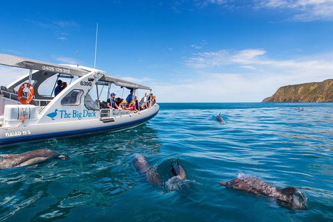 Victor Harbor And McLaren Vale Wine Region Day Tour - New South Wales Tourism  6