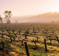 Barossa Valley Private Tour It's your tour the way you want it. - New South Wales Tourism 