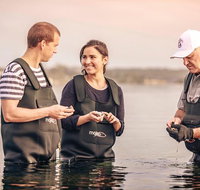 3-Day Port Lincoln and Coffin Bay Private Tour from Adelaide - New South Wales Tourism 