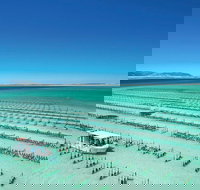 Coffin Bay Day Tour - A Taste of Coffin Bay - New South Wales Tourism 