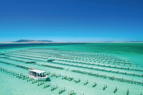 Coffin Bay Day Tour - A Taste Of Coffin Bay - New South Wales Tourism  2