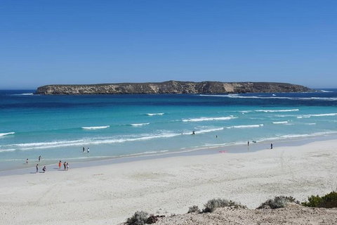 Coffin Bay Day Tour - A Taste Of Coffin Bay - New South Wales Tourism  12