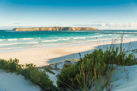 Coffin Bay Day Tour - A Taste Of Coffin Bay - New South Wales Tourism  13